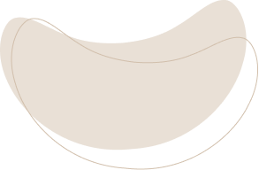 layout-slider2-03